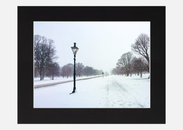 Phoenix Park in the Snow - Image 6