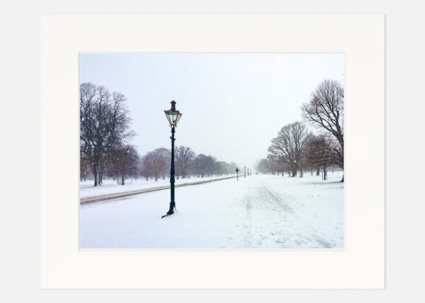 Phoenix Park in the Snow - Image 7