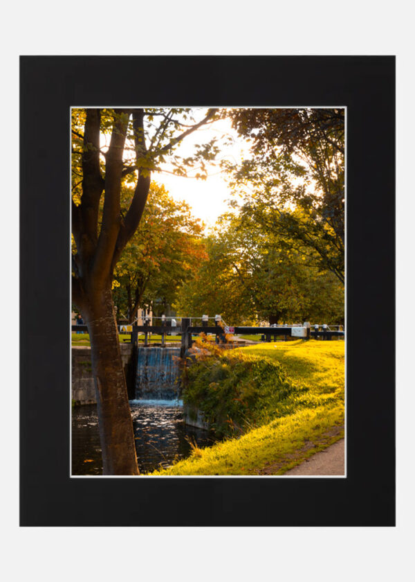 Summers evening - Grand canal Dublin - Image 6