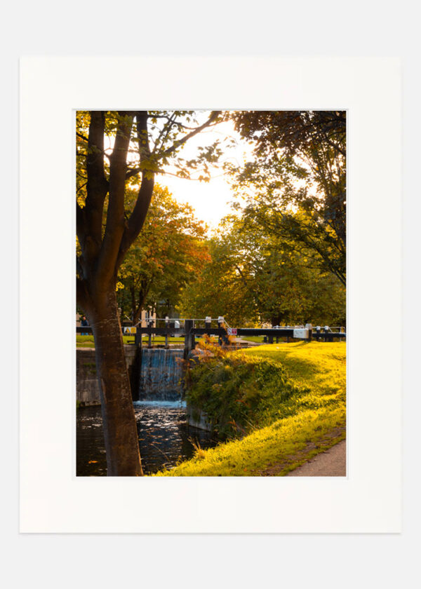 Summers evening - Grand canal Dublin - Image 7