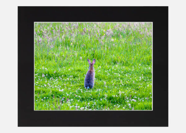 Watching out for a friend - Image 6