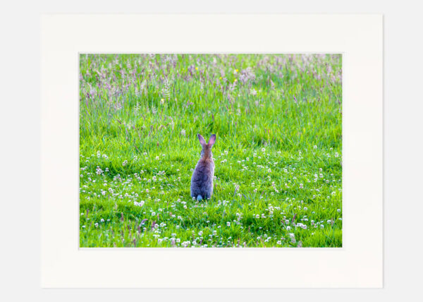 Watching out for a friend - Image 7
