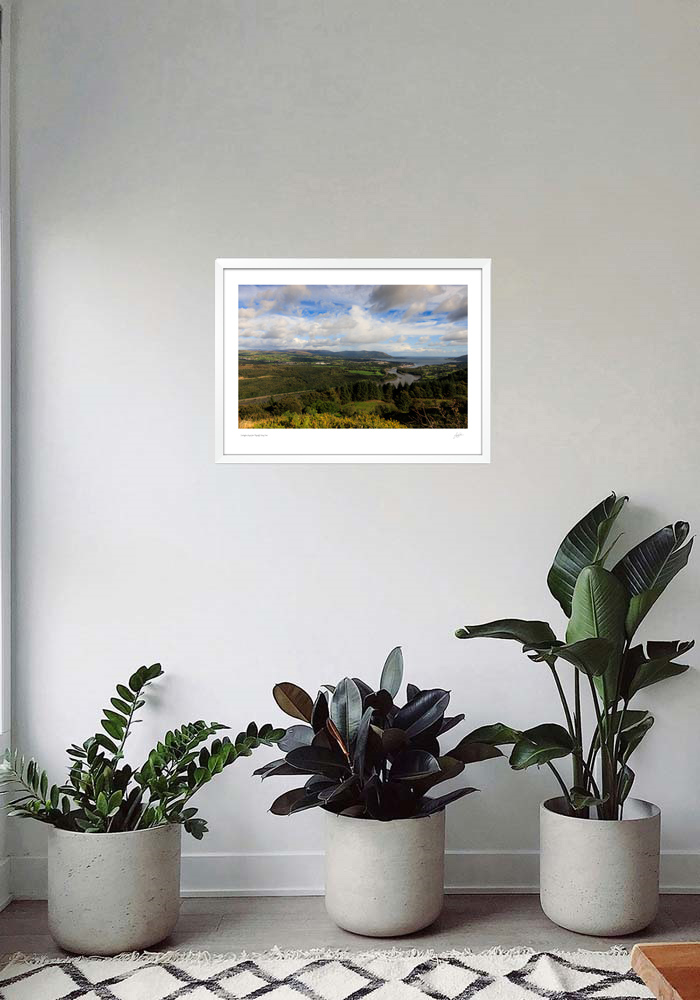 Carlingford Lough from Flagstaff viewing point Carlingford Lough from Flagstaff viewing point - Image 7