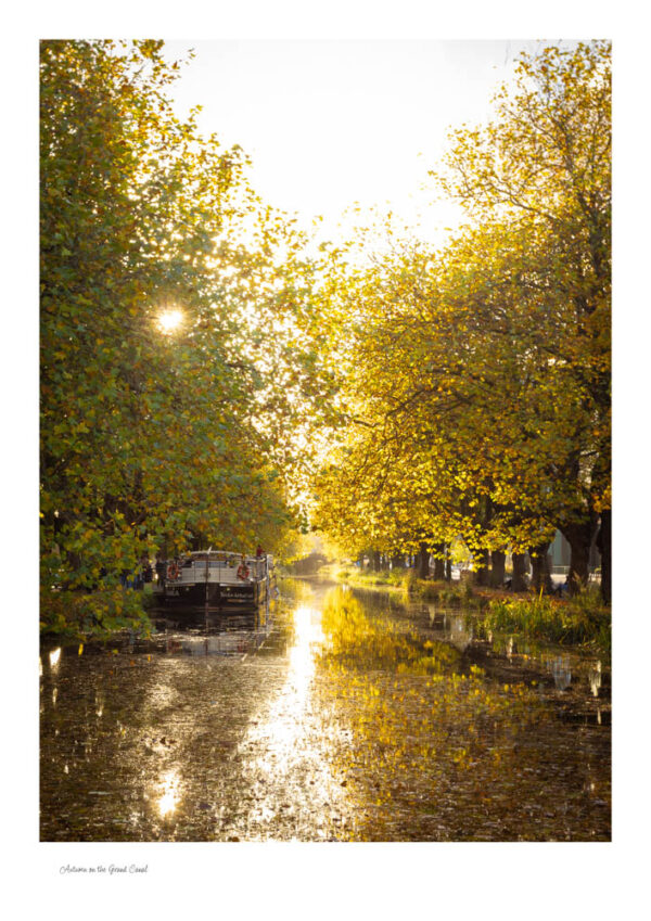 Autumn on the Grand Canal