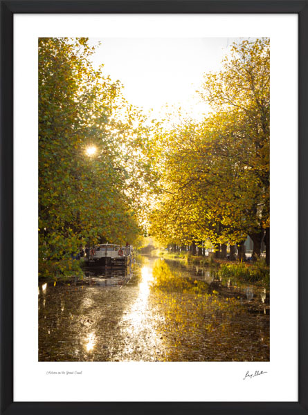 Autumn on the Grand Canal Autumn on the Grand Canal - Image 4