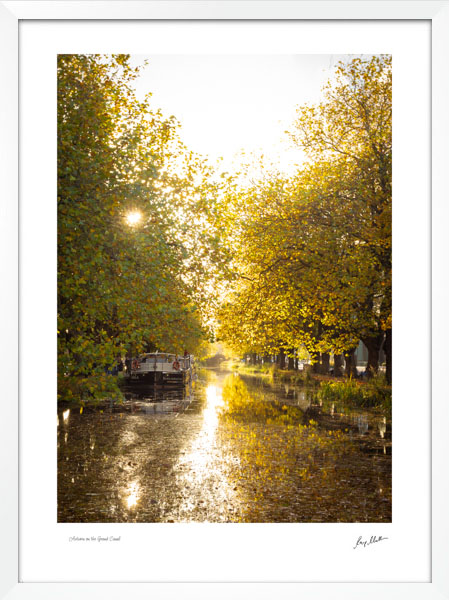 Autumn on the Grand Canal Autumn on the Grand Canal - Image 5