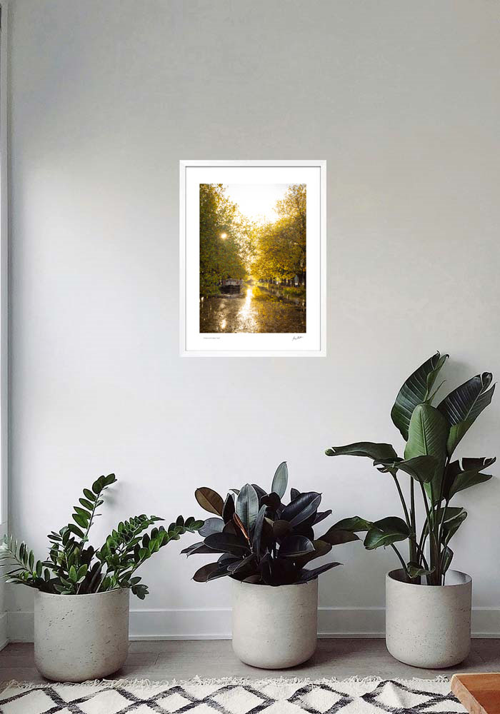 Autumn on the Grand Canal Autumn on the Grand Canal - Image 7