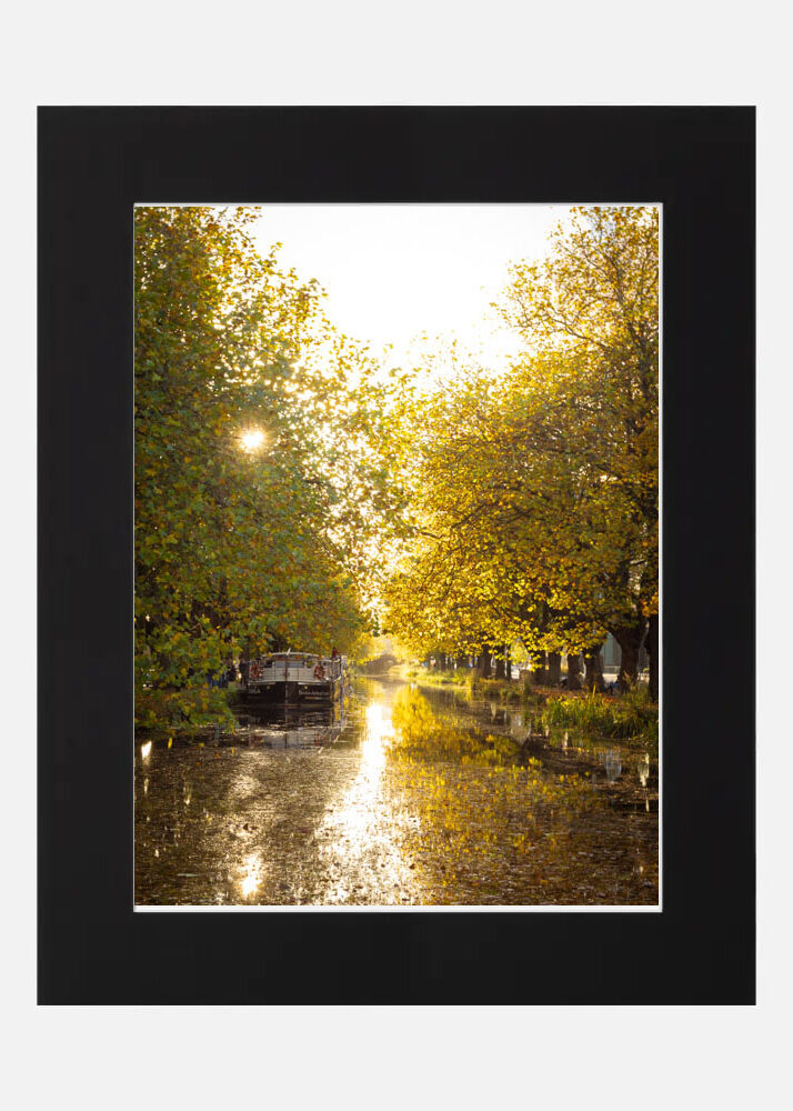 Autumn on the Grand Canal Autumn on the Grand Canal - Image 2