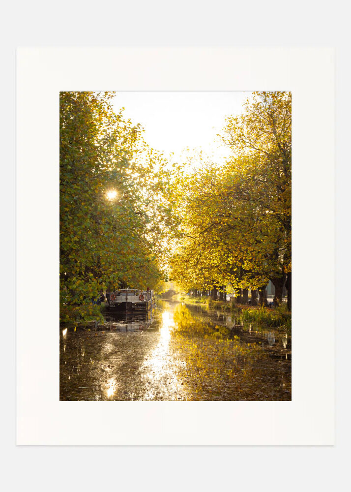 Autumn on the Grand Canal Autumn on the Grand Canal - Image 3