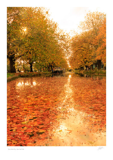 Of an Autumn Day