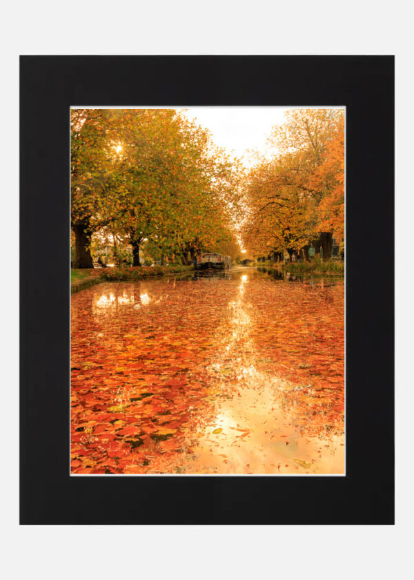 Of an Autumn Day - Image 6