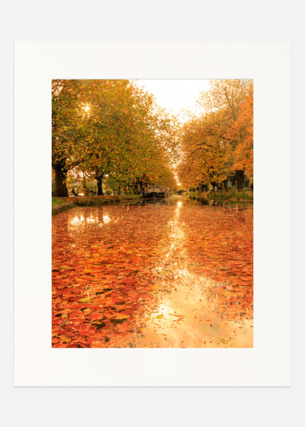 Of an Autumn Day - Image 7