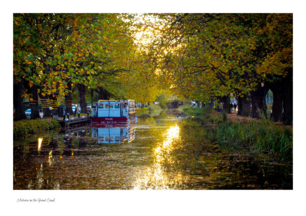 The Grand canal in all its Autumn colours with the trees overhanging a barge on the left side and the sunlight beaming through the trees and onto the canal.