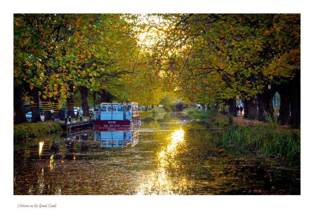 Autumn on the Grand Canal The Grand canal in all its Autumn colours with the trees overhanging a barge on the left side and the sunlight beaming through the trees and onto the canal.