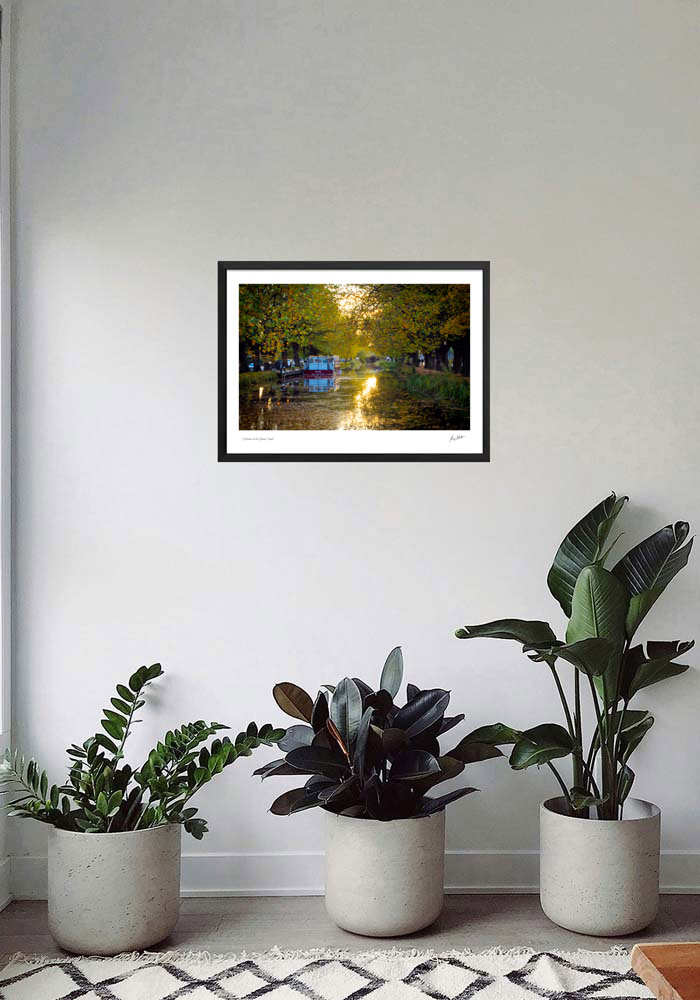 Autumn on the Grand Canal Autumn on the Grand Canal - Image 6