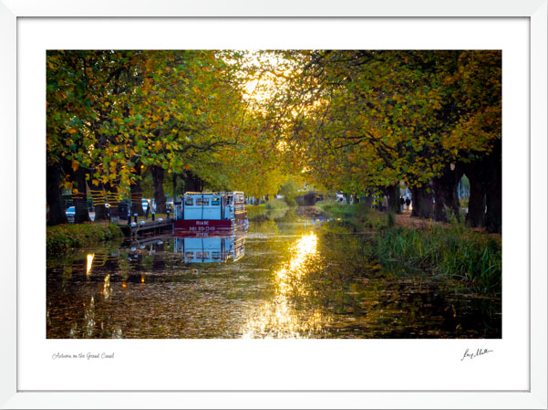 Autumn on the Grand Canal Autumn on the Grand Canal - Image 5