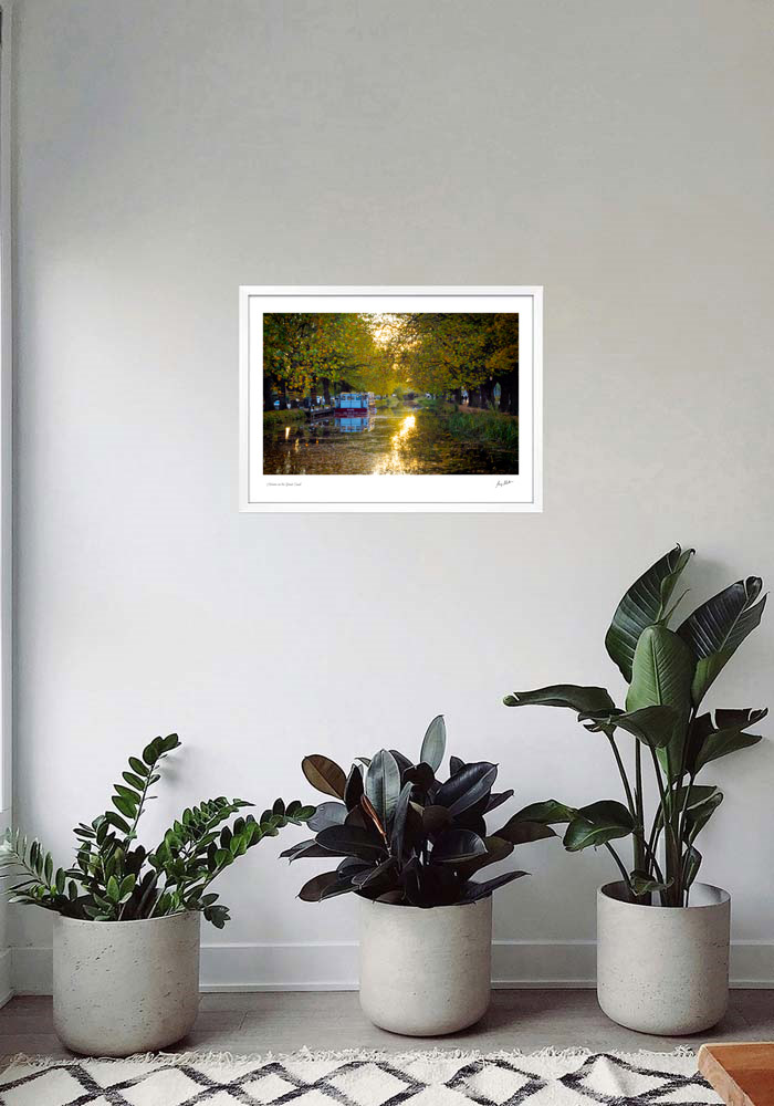 Autumn on the Grand Canal Autumn on the Grand Canal - Image 7