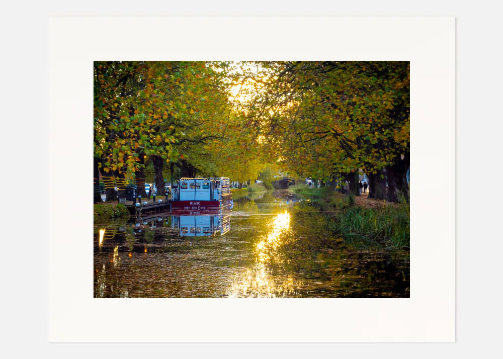 Autumn on the Grand Canal Autumn on the Grand Canal - Image 3