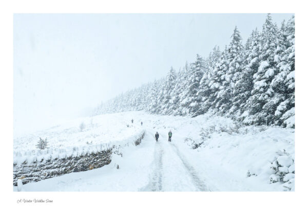 A Winter Wicklow Scene