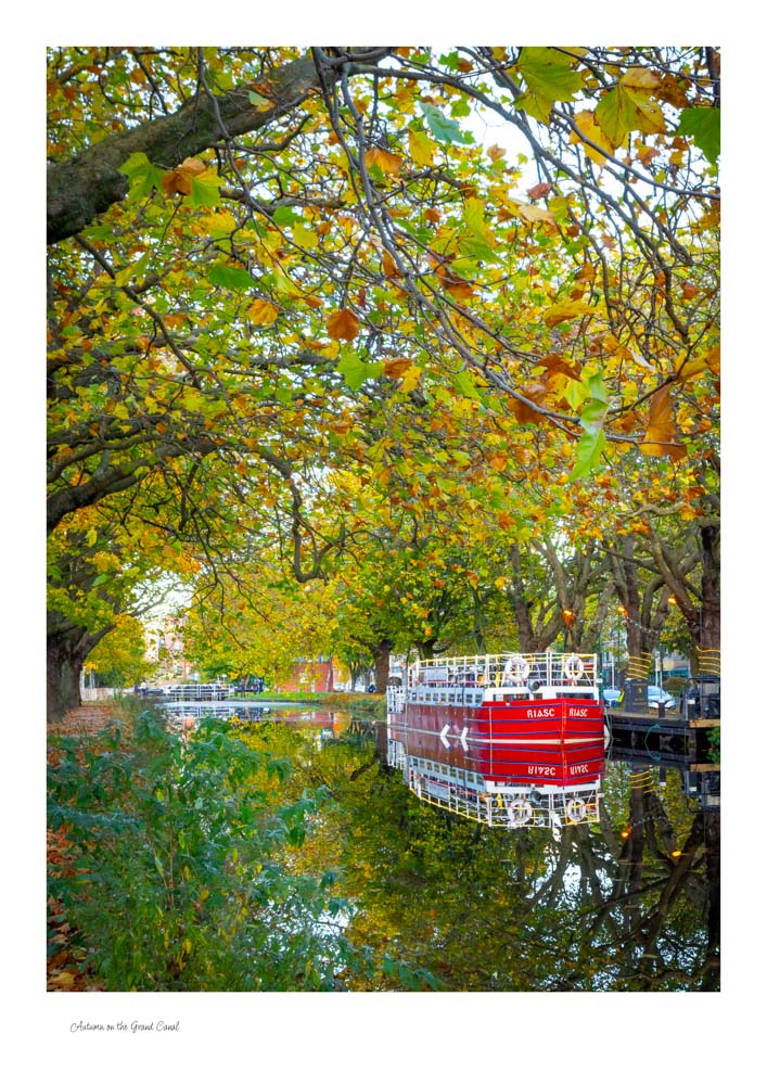Autumn on the Grand Canal The Granc Canal with its autumn leaves and a tree branch over hanging on the right top corner and a lovely barge on the right hand side with its red colours and reflection in the canal