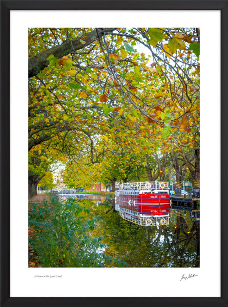 Autumn on the Grand Canal Autumn on the Grand Canal - Image 4