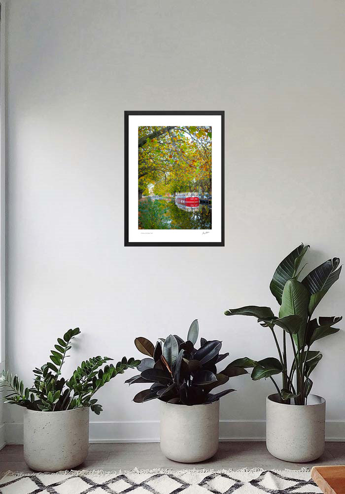 Autumn on the Grand Canal Autumn on the Grand Canal - Image 6