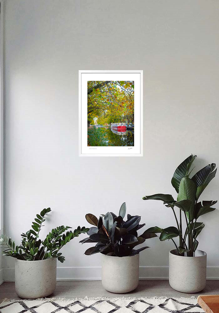 Autumn on the Grand Canal Autumn on the Grand Canal - Image 7