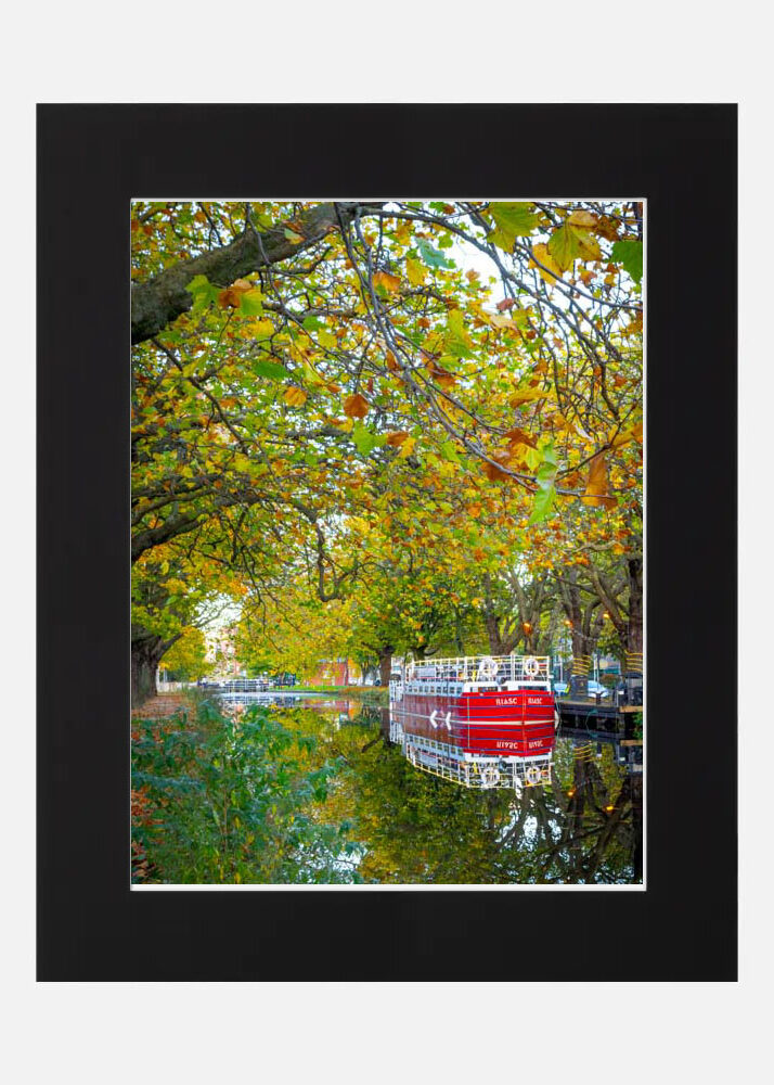 Autumn on the Grand Canal Autumn on the Grand Canal - Image 2