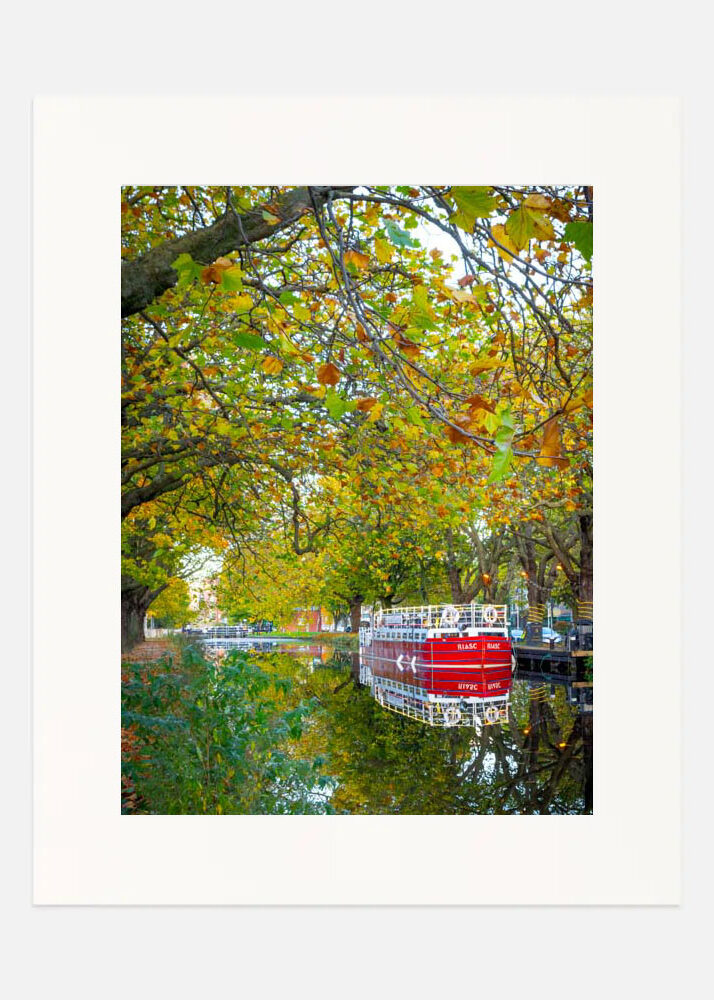Autumn on the Grand Canal Autumn on the Grand Canal - Image 3